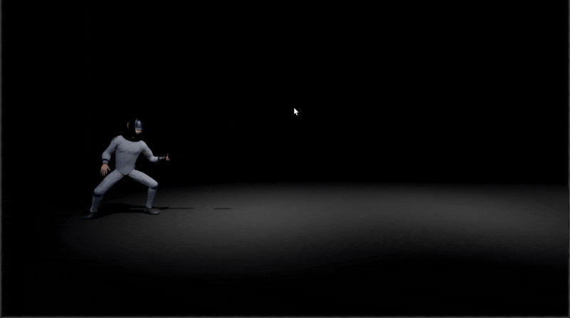 Fencing Animation Test